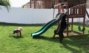Dog and Kids Enjoy Backyard on Hot Day