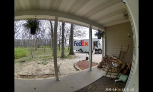 Package Driver Loves On Loose Pups