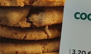 Small Bug Crawls Out From Stack of Cookies