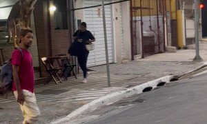 Dog Crosses Busy Street Balancing On Owner's Shoulders And Head