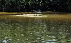 Random Siting While Fishing