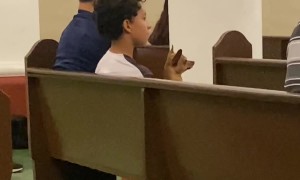Pup Attentively Listens To Church Service