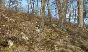 Tony Is Loving the Five Star Trout Dinners