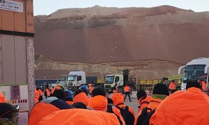 Tired Miners Start Bleating Like Sheep