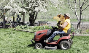 First Mow of the Year
