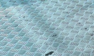 Dentures Take a Dive on Pendulum Amusement Ride