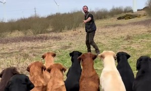 Overeager Lab Forgets to Wait for Command