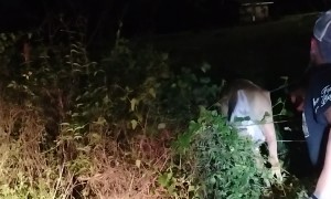 Herd on the Run and One Deer Needed Help