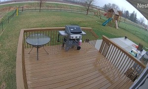 Truck Plows Through Backyard