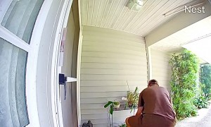 Dog Surprises UPS Worker