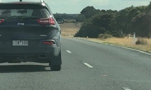 Dog Barking at Cars Passing By