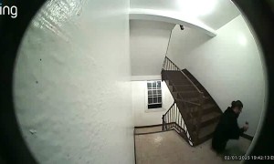 Nosey Neighbor Immediately Falls