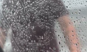 Sister Dares Brother to Stand in Downpour