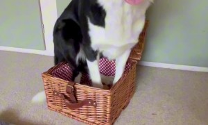 Some Have an Easter Bunny and We Have Easter Bonnie