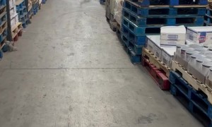Wild Turkey Entered Grocery Warehouse
