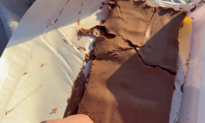 First Dip of the Season