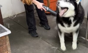 At Least He Didn't Overreact