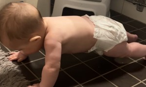 Baby Learns To Plank Before Learning To Crawl