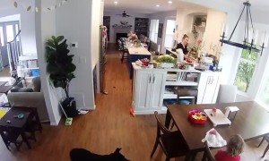 Mom Confused By Daughter's Fart