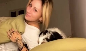 Dog Snuggles Up to Owner