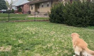 New Sign, New Friends