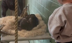 Taking a Break From the Monkey Exhibit