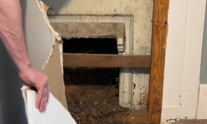 Antique Fireplace Surround Discovered In Vintage Home