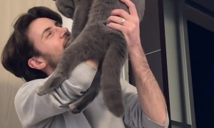 Pretending To Not See The Cat