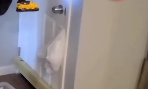 Basement Squatters Get Boarded Out