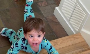 Toddler No Match For Puppy's Playing