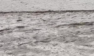 Cars Driving Down Flooded Street in Omaha