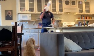 Man Tries to Juggle Plates in the House