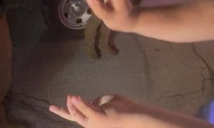 Magician Gets Out of Speeding Ticket