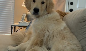 Nobody Takes Teddy’s Spot