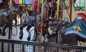 Daughter Not Impressed With Carousel Ride