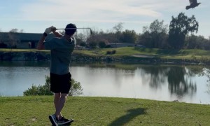 Golfer Hits A Birdie
