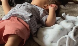 Best Friends Relax On Backs Together