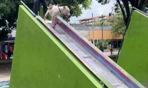 Breezy End To Slide Ride