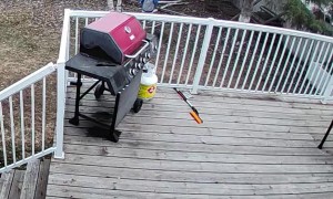 Backyard Playset Breaks While Kid Swings