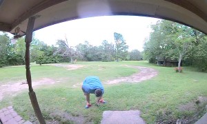 Man Falls Trying to Knock Down Wasp Nest