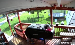 Huskies Trip Owner With Long Leashes