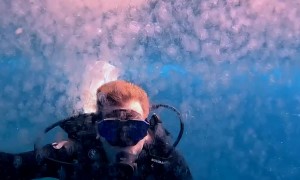 Swimming Through Hundreds of Jellyfish