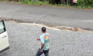 Curious Bear Cub Climbs Into Car