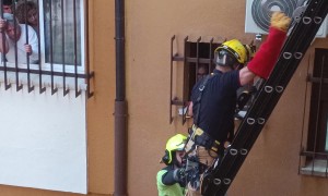 Firefighters Rescue Feisty Cat