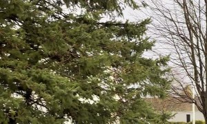 Full Double Rainbow Touches Ground on Both Sides