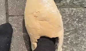 Trying on My New Yeasties