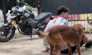 Guy Trips on Bucket While Washing Motorcycle