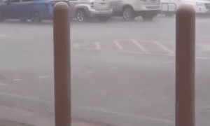 Flower Stand Blown Away In Wind