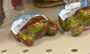 Ceramic Frogs With Fertility Secrets