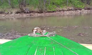 Boating Man Rescues Drowning Bear Cub